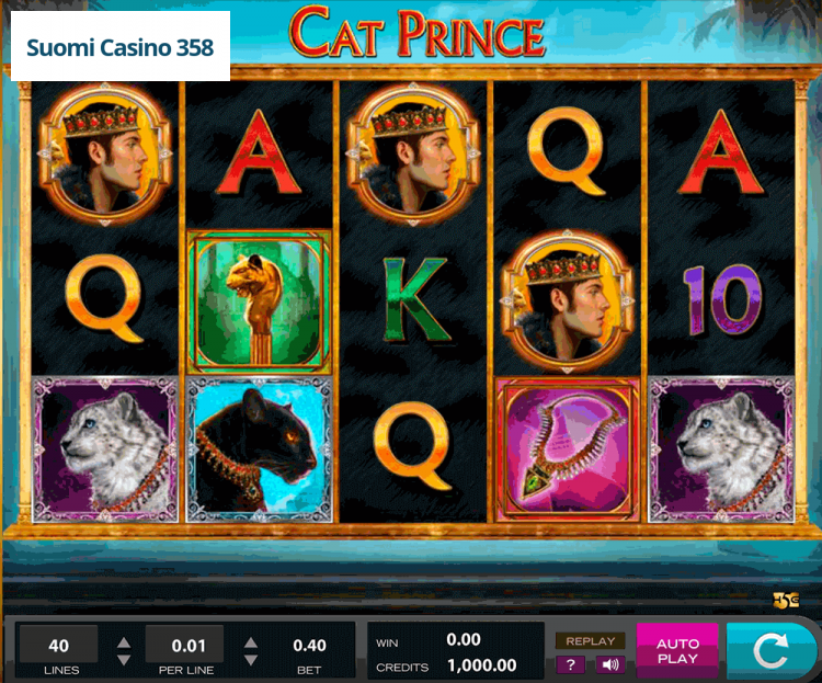 Cat Prince
