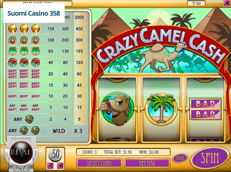 Crazy Camel Cash