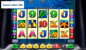 Dolphin Treasure