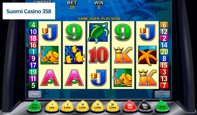 Dolphin Treasure