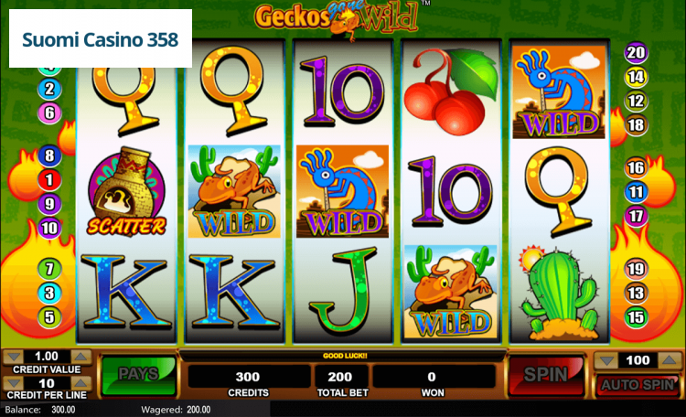 Geckos Gone Wild
