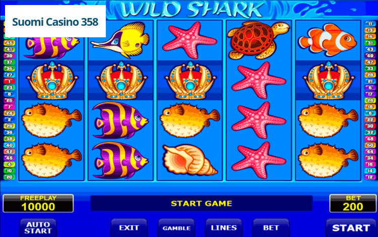 Wild Shark